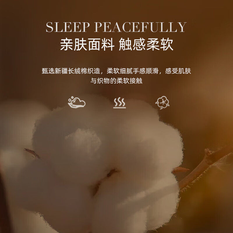 官方旗舰店正品鹅绒被95白鹅绒被芯抗菌保暖羽绒秋冬被被子羽绒被,淘宝优惠券,粉丝福利购,淘宝优惠卷