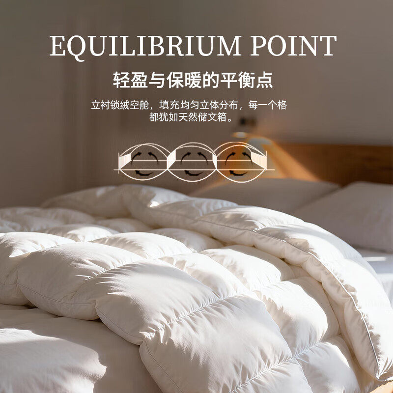 官方旗舰店正品鹅绒被95白鹅绒被芯抗菌保暖羽绒秋冬被被子羽绒被,淘宝优惠券,粉丝福利购,淘宝优惠卷