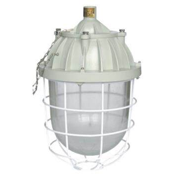 BAD-250系列隔爆型防爆灯BAD51-L250/BAD51-N250 - 图0