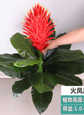 仿真植物鸿运当头假花塑料花盆栽