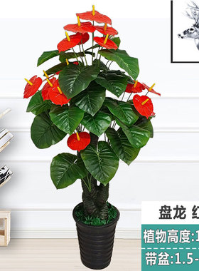 假树吉祥红掌鸿运仿真植物