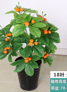仿真果树金桔樱桃树假树盆栽花卉