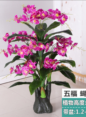 假树蝴蝶兰花假花仿真植物落地盆栽大型客厅室内盆景树塑料花花卉