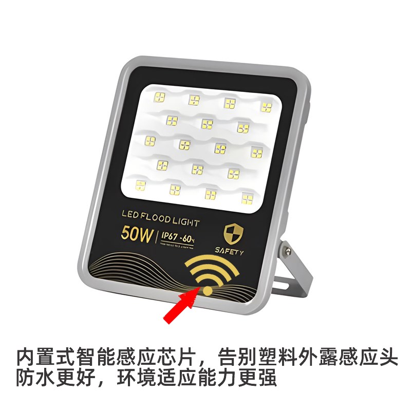 12V220V光控雷达感应遥控LED投光灯泛光灯电瓶太阳能户外防水院子 - 图3