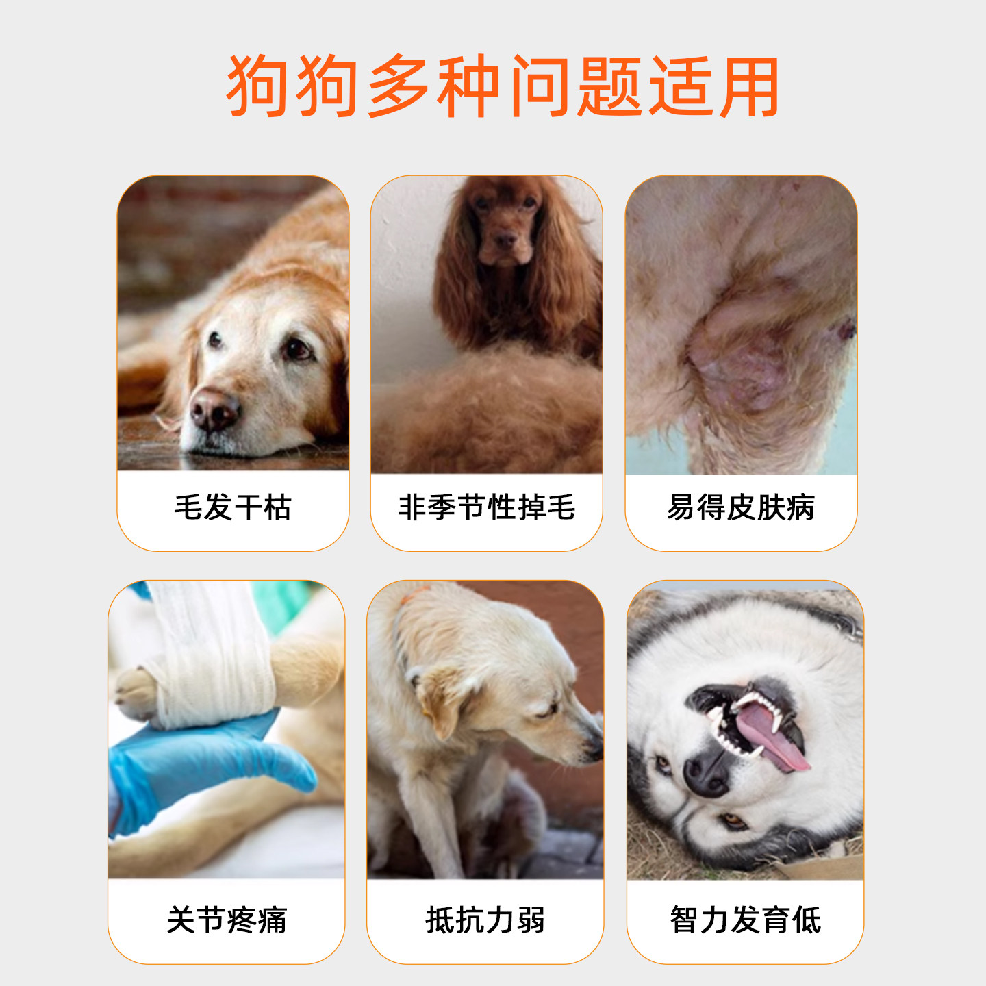 深海磷虾鱼油猫用狗狗小猫咪专用宠物防掉毛吃鱼肝油犬用幼猫美毛,淘宝优惠券,粉丝福利购,淘宝优惠卷