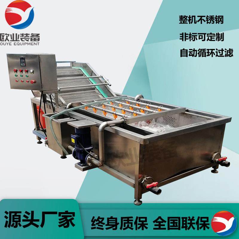 大型洗菜机不锈钢洗蔬菜水果机器 多功能净菜气泡清洗机,淘宝优惠券,粉丝福利购,淘宝优惠卷