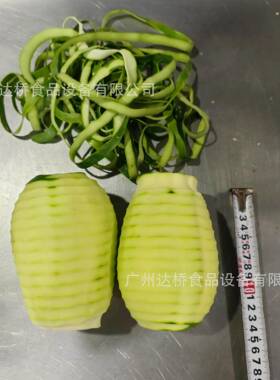 DQ达桥源头工厂工业型番木瓜智能削皮机商用净菜加工生产线220V