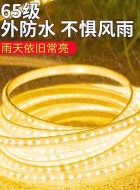 太阳能灯带三色变光led灯条灯带工程户外防水庭院花园氛围灯超亮