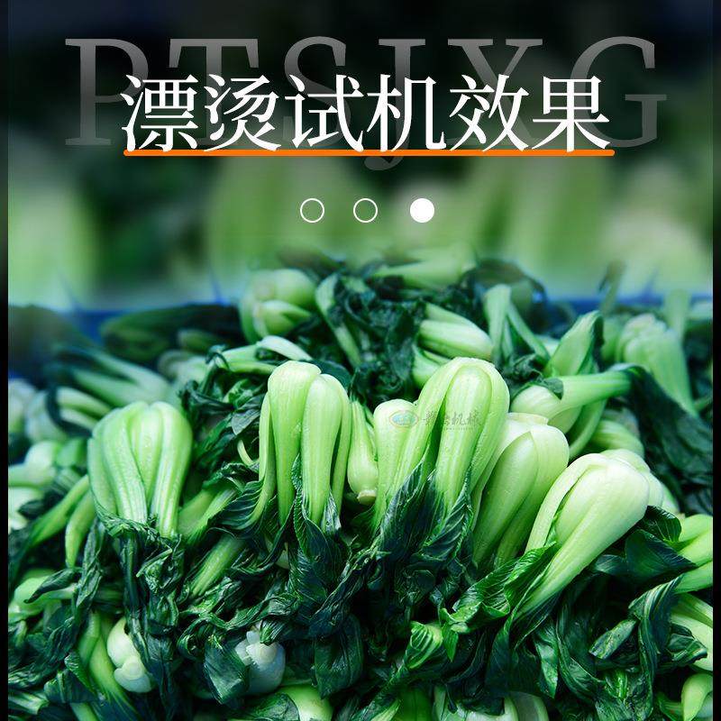 400L蔬菜漂烫机多功能油炸焯水设备电加热不锈钢卤煮设备,淘宝优惠券,粉丝福利购,淘宝优惠卷