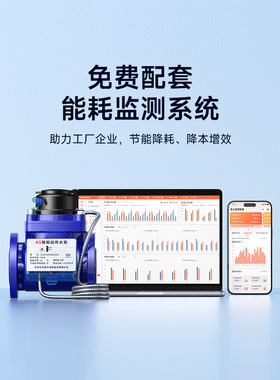 社为智能大口径水表商用4G远传法兰国标防冻水表DN50/100干式可选