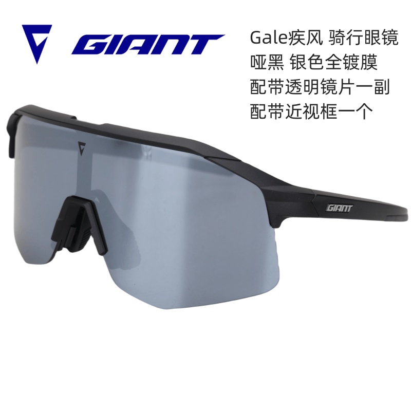 捷安特Giant丽以芙L骑行眼镜疾风哑白紫色山地公路车防风防晒眼镜-图1