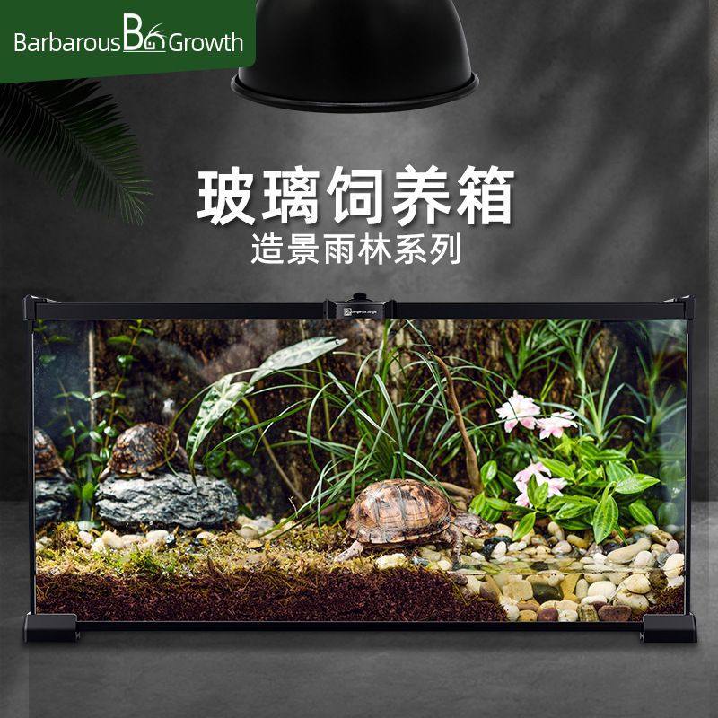 玻璃饲养箱爬虫缸雨林爬宠陆龟守宫蜥蜴角蛙蜘蛛甲虫宠物蛇生态缸,淘宝优惠券,粉丝福利购,淘宝优惠卷