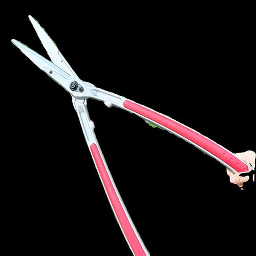 园艺花剪专用草坪剪篱笆剪修剪树枝剪刀园林果树修枝大剪刀 - 图3