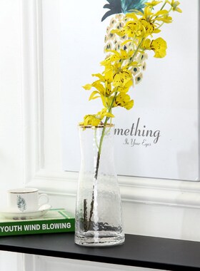 北欧冷纹描金透明玻璃花瓶创意摆件客厅桌面餐桌插花水养花瓶