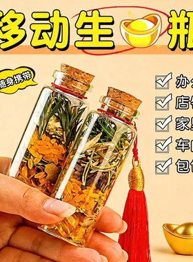 移动生财瓶随身招财纳福瓶摆件