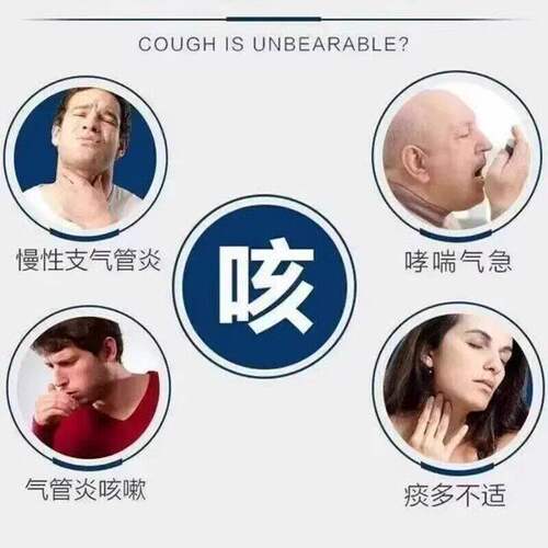 当天发】叶真堂蛇胆川贝液风热咳嗽痰多久咳不止气喘胸闷咳痰不爽 - 图1