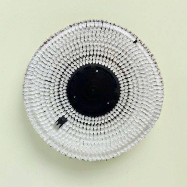 泰华施E200单擦机湿泡洗地毯刷特洁Ergodisc200刷地机清洗盘毛刷,淘宝优惠券,粉丝福利购,淘宝优惠卷