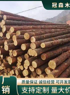 原木桩防汛木桩河道打桩木圆木桩建筑地基护坡工程防滑木头松木桩