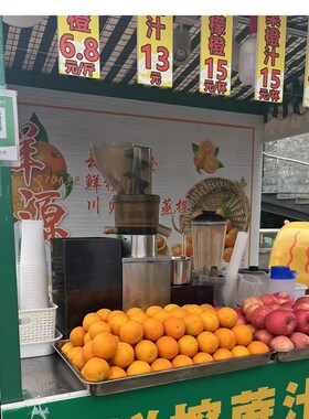 电动榨汁机商用渣汁分离大型鲜榨果汁机家用水果炸汁多功能原汁机