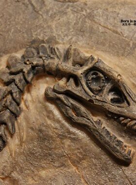 树脂侏罗纪恐龙化石美式软装墙面装饰品个性家居餐厅酒吧壁饰挂件