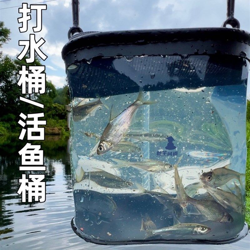 抛竿问道溪流钓小物钓路亚加厚便携透明活鱼桶打水桶多功能鱼箱,淘宝优惠券,粉丝福利购,淘宝优惠卷