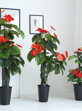 仿真红掌花假树盆栽植物