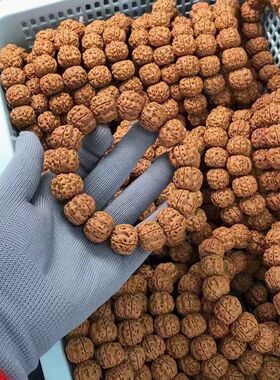 大尺寸帝王龙金刚菩提手串男女士文玩单圈菩提子念珠