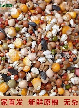 枭龙鸽粮营养赛鸽信鸽营养鸽子食50斤