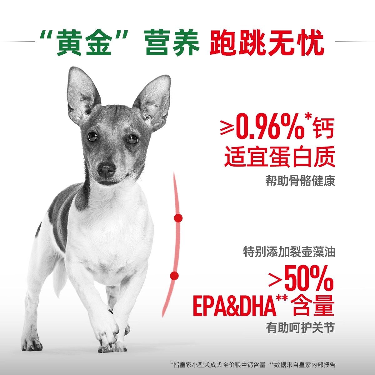 皇家狗粮小型犬成犬全价犬粮泰迪比熊博美通用狗粮PR27/2KG,淘宝优惠券,粉丝福利购,淘宝优惠卷