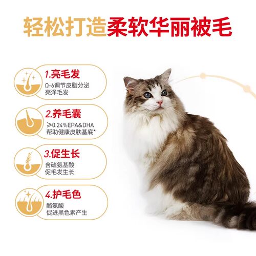 皇家猫粮布偶猫专用RA32成猫粮2kg营养美毛呵护肠胃全价猫粮主粮 - 图1