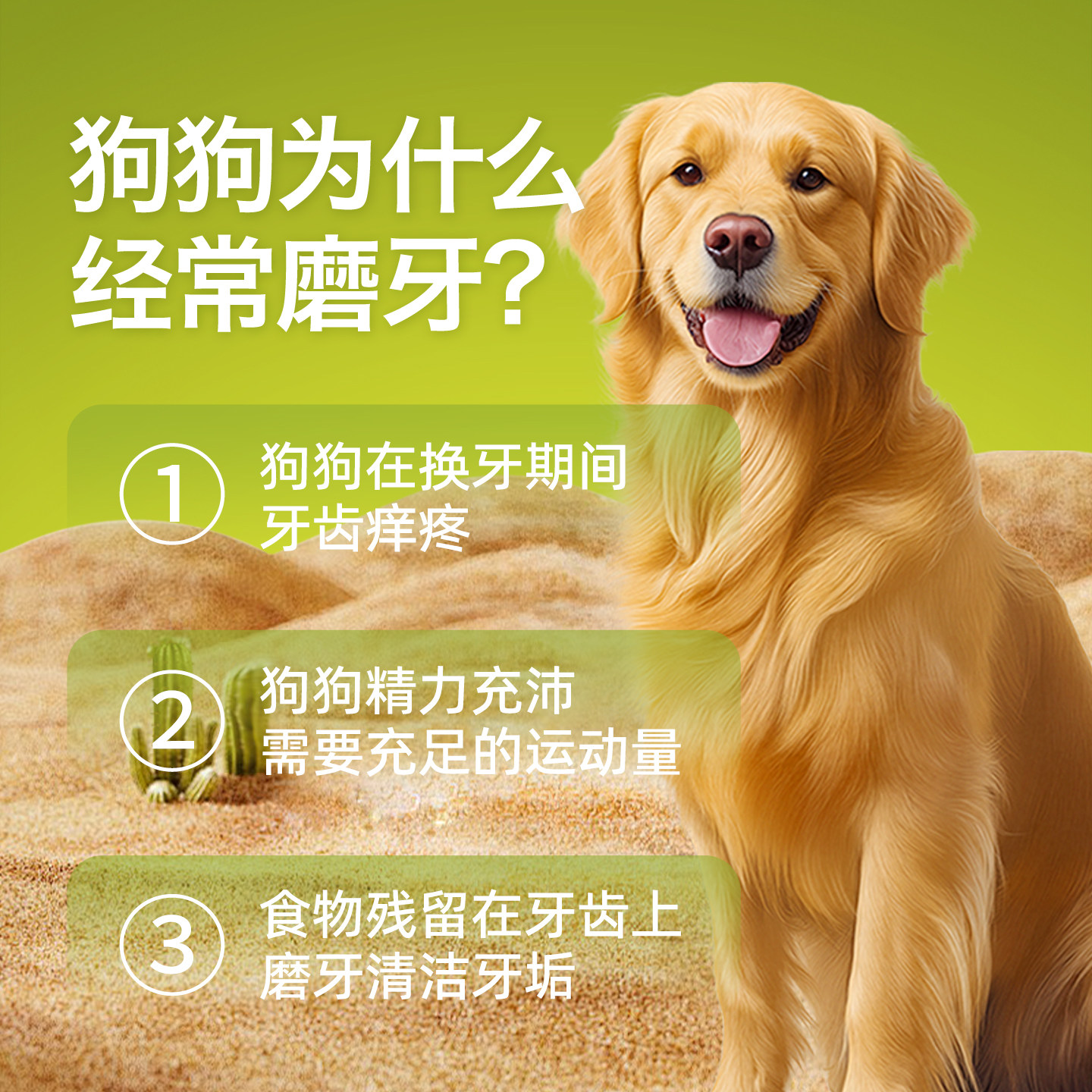 毛球吾宠宠物狗零食鸡肉钙奶棒小型犬训练奖励幼犬大型犬磨牙玩具,淘宝优惠券,粉丝福利购,淘宝优惠卷