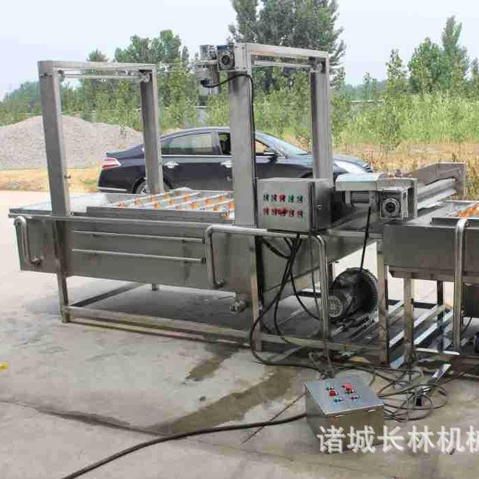 梅干菜荷兰豆加工设备马蹄田七气泡清洗机蒜米雪菜清洗流水 - 图0