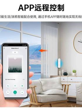 ZigBee智能窗帘拉珠拉绳卷帘百叶帘电机遥控APP控制自动窗帘电机