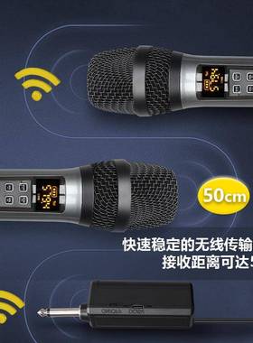 专业一拖二无线麦克风可调频KTV话筒舞台演出KTV唱歌会议K歌