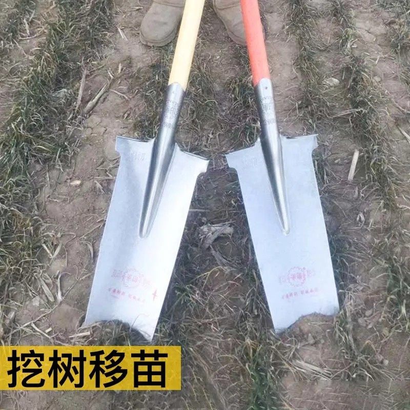 军印锰钢加厚挖树专用挖山药栽树挖树挖沟锹起苗挖树根窄长锹钢锹,淘宝优惠券,粉丝福利购,淘宝优惠卷