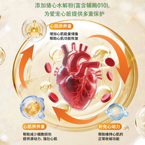 养辛达5合1装宠物狗狗猫咪心脏保护调理肠胃鱼油美毛补维生素钙片 - 图3