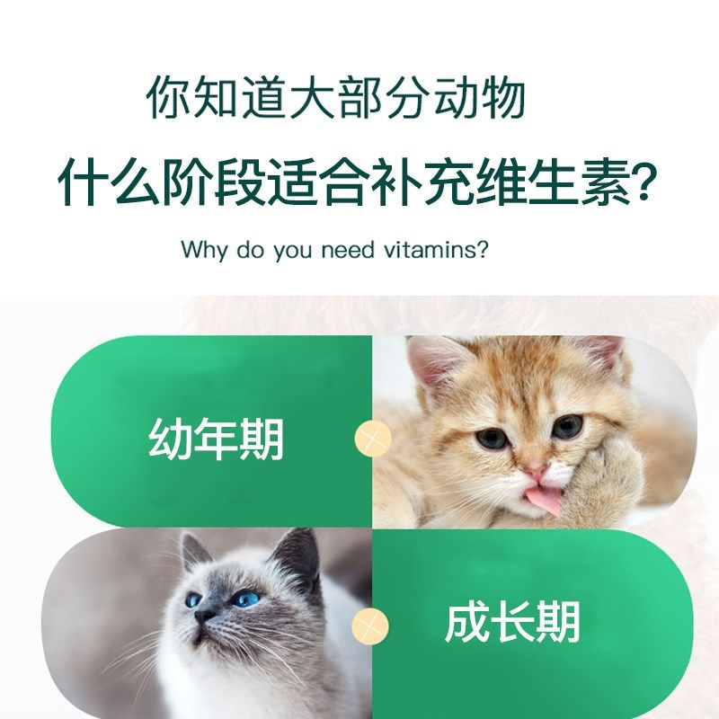 美短猫专用复合维生素片宠物补充剂成幼猫维生素b猫咪营养品保健,淘宝优惠券,粉丝福利购,淘宝优惠卷