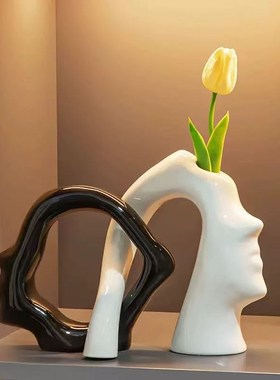 花瓶高级感轻奢高档摆件客厅插花创意艺术电视柜玄关中古风装饰品