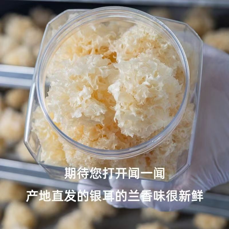【古田新货】正宗福建古田银耳有机椴木花叶糯耳白木耳滋补 - 图3