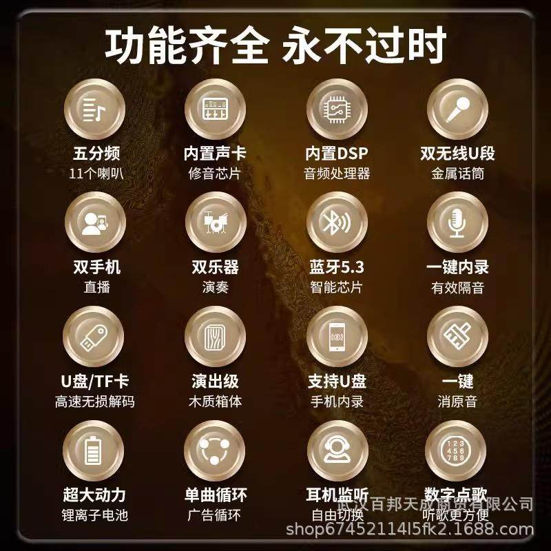 山水SS190广场舞音响户外大功率K歌乐器音箱带话筒带声卡直播内录,淘宝优惠券,粉丝福利购,淘宝优惠卷