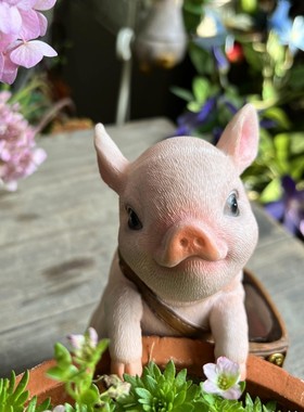 庭院花园花盆鱼缸可爱猫咪创意背包小装饰品礼品树脂挂件盆挂摆件