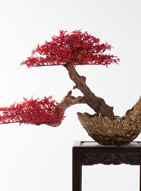 新中式红色仿真迎客松罗汉松柏y树盆景盆栽售楼部走廊客厅玄关摆