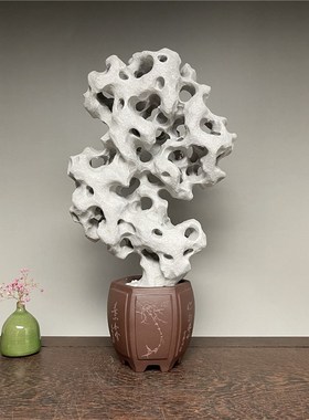 广西类太湖石天然原石清供u石灵璧奇中式客厅书房装饰小型摆件国