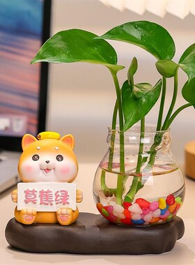 可爱风居用小摆设透明水培绿萝植物D插花瓶客厅玄关电视柜装饰摆