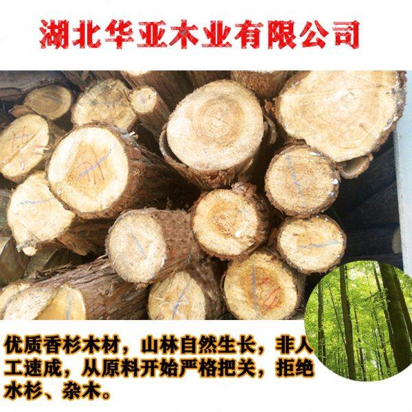 烘干蜂箱全套标准十框型中意蜂箱蜂具杉木养蜂工具不煮蜡蜜蜂巢箱,淘宝优惠券,粉丝福利购,淘宝优惠卷