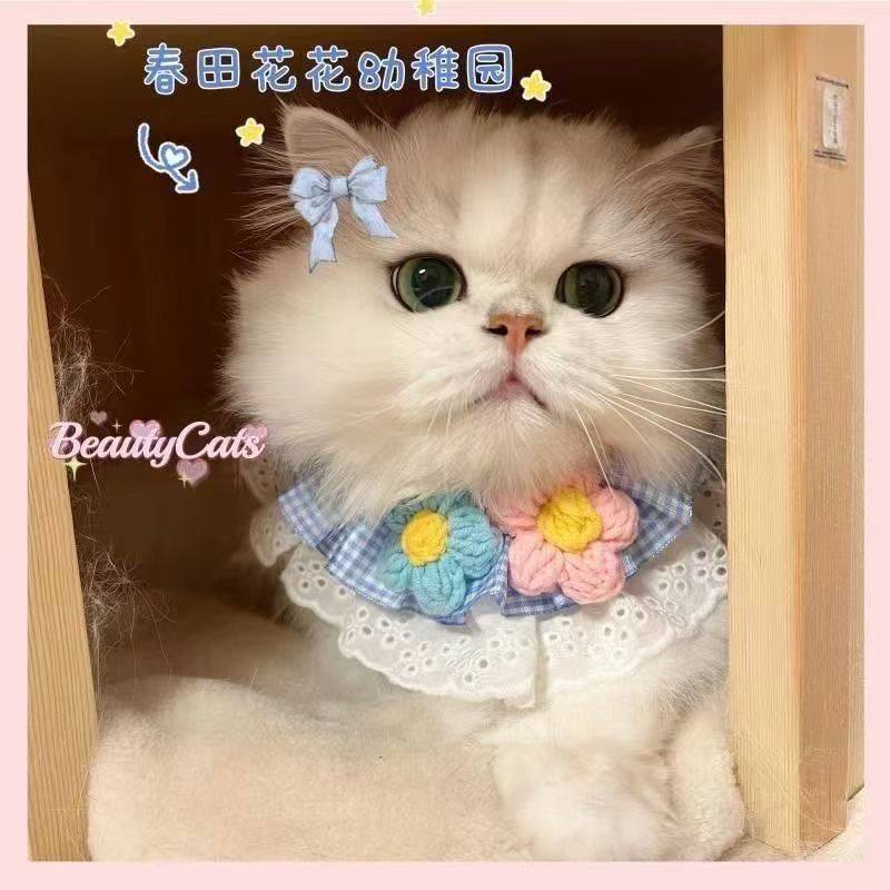 猫咪狗狗围脖围领宠物口水巾兔子饰品布偶英短美短蓝白泰迪比熊,淘宝优惠券,粉丝福利购,淘宝优惠卷