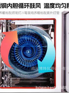 电热恒温恒湿培养箱微生物腹透液催芽霉菌光照生化培育箱实验室