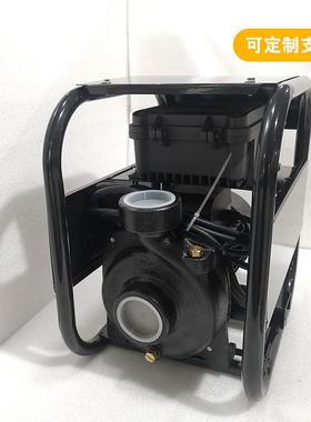 SCPM太阳能陆地泵48V直流无刷大流量农田灌溉河道抽水光伏水泵