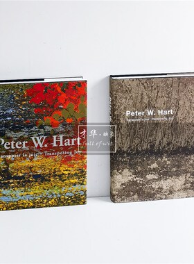 抽象油画作品艺术画册样板间客厅书房展厅轻奢软装饰品摆件真书