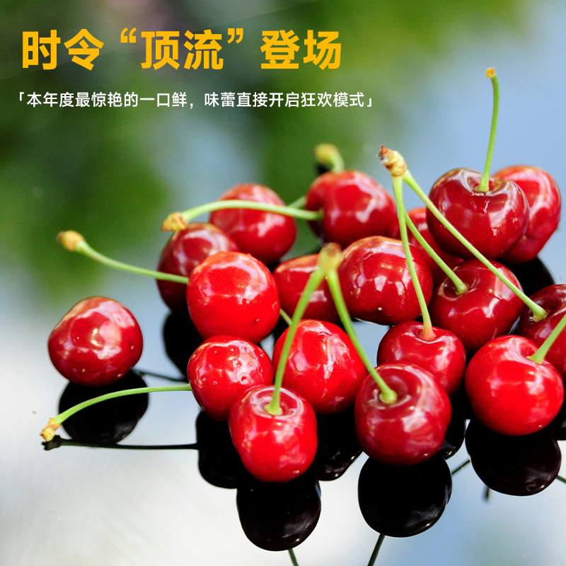 欢鲜达 25年新鲜智利进口车厘子 3J 5斤装 JJJ当季水果 坏果包赔